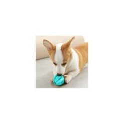 Set Di 2 Palline Di Gomma Per Cani Giocattolo Da Masticare Per Cani Piccoli E Grandi Palline Elastiche Resistenti Ai Morsi Divertenti (verde E Blu) -Cibi per cani in Italia 97874693 2