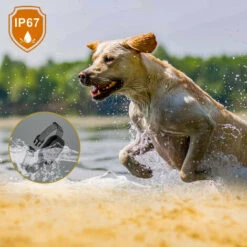 Collare Antiabbaio Per Cani, Ricaricabile, Resistenza All'acqua IP67 E Collare Intelligente Per Il Rilevamento Dell'abbaio Vibrazioni/scosse Elettriche/modalità Audio Per Cani Di Taglia Grande - Nero -Cibi per cani in Italia 97875347 4