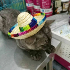 Cappelli Di Paglia Per Animali Domestici - Cappelli Sombrero Messicani - Decorazioni Per Feste Per Piccoli Animali Domestici, Cuccioli, Gatti -Cibi per cani in Italia 97875514 5