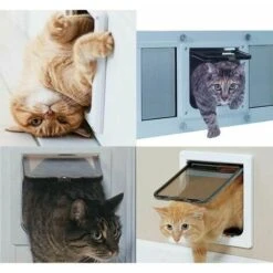 4 Posizioni Porta Per Gatti Porta Per Gatti Con Copertura A Tunnel Porta Per Gatti Porta Per Gatti Con Serratura Porta Per Gatti Per Piccoli Animali Cat Mate Con Serratura Facile Da Installare Bianco( -Cibi per cani in Italia 97887003 4