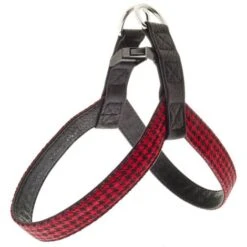 Ferribiella Pettorina In Resistente Similpelle E Tessuto Modello Coco Per Cani: 1,5 X 24cm - Blu -Cibi per cani in Italia 9811057 3