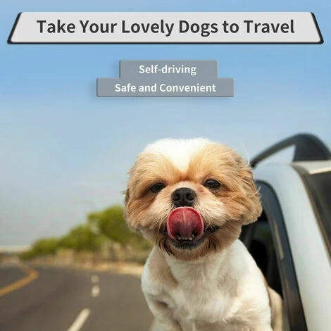 Collari, Imbracature E Guinzagli Per Cani, Cintura Di Sicurezza Elastica Riflettente Per Animali Domestici (grigio) 5 Collari, Imbracature E Guinzagli Per Cani, Cintura Di Sicurezza Elastica Riflettente Per Animali Domestici (grigio) - immagine 3