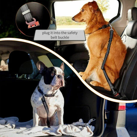 Collari, Imbracature E Guinzagli Per Cani, Cintura Di Sicurezza Elastica Riflettente Per Animali Domestici (grigio) 7 Collari, Imbracature E Guinzagli Per Cani, Cintura Di Sicurezza Elastica Riflettente Per Animali Domestici (grigio) - immagine 5