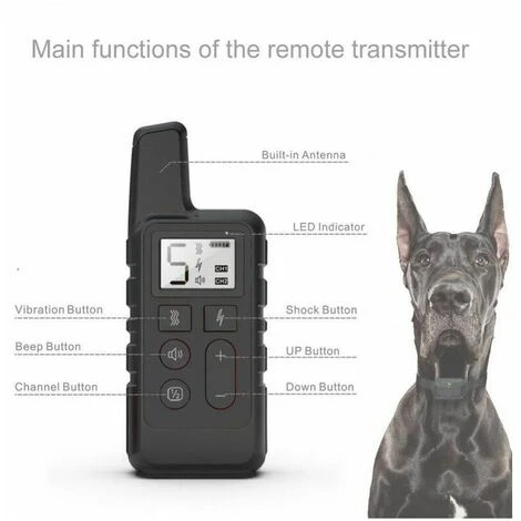 Pet Collare Da Addestramento Per Cani Impermeabile Da 500 M Con Telecomando Ricaricabile - Arancione 5 Pet Collare Da Addestramento Per Cani Impermeabile Da 500 M Con Telecomando Ricaricabile - Arancione - immagine 3