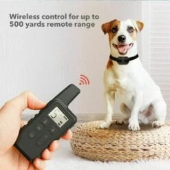 Pet Collare Da Addestramento Per Cani Impermeabile Da 500 M Con Telecomando Ricaricabile - Arancione 10 Pet Collare Da Addestramento Per Cani Impermeabile Da 500 M Con Telecomando Ricaricabile - Arancione -Cibi per cani in Italia 98113898 4