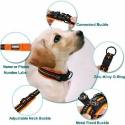 Collare Per Cani, Collare Riflettente Regolabile Centrale Imbottito Classico Con Anello In Lega -Cibi per cani in Italia 98117608 4