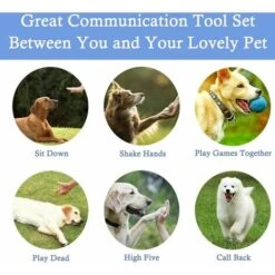 Fischietto Per Cani Ad Ultrasuoni Addestramento Anti-abbaio Clicker Promemoria Per Cani Fischietto Per L'educazione All'addestramento Del Trattamento 8 Fischietto Per Cani Ad Ultrasuoni Addestramento Anti-abbaio Clicker Promemoria Per Cani Fischietto Per L'educazione All'addestramento Del Trattamento -Cibi per cani in Italia 98119719 2