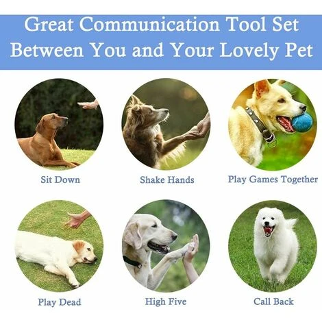 Fischietto Per Cani Ad Ultrasuoni Addestramento Anti-abbaio Clicker Promemoria Per Cani Fischietto Per L'educazione All'addestramento Del Trattamento 4 Fischietto Per Cani Ad Ultrasuoni Addestramento Anti-abbaio Clicker Promemoria Per Cani Fischietto Per L'educazione All'addestramento Del Trattamento - immagine 2