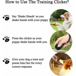 Fischietto Per Cani Ad Ultrasuoni Addestramento Anti-abbaio Clicker Promemoria Per Cani Fischietto Per L'educazione All'addestramento Del Trattamento 10 Fischietto Per Cani Ad Ultrasuoni Addestramento Anti-abbaio Clicker Promemoria Per Cani Fischietto Per L'educazione All'addestramento Del Trattamento -Cibi per cani in Italia 98119719 4