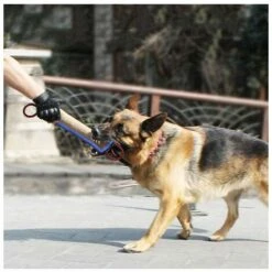 Bite Stick Toy For, Blue Edge Bite Stick Addestramento Di Cani Da Pastore Tedesco Addestramento Di Cani Adulti Addestramento Di Cani Da Pastore Tedesco Grip Stick Little Bite Stick Pillow -Cibi per cani in Italia 98121316 3