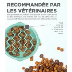 Mangiatoia Per Cani Ciotola Per Cibo Lento Ciotola Per Cani Antisommossa Ciotola Per Cibo Per Gatti Ciotola Per Animali Ciotola Per Riso Anti-soffocamento Slow Food M -Cibi per cani in Italia 98122166 2