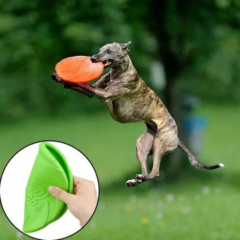 Disco Per Cani, Frisbee Per Cani, Frisbee Giocattolo Per Cani Da 2 Pezzi, Per Giochi, Attività Sportive E Giochi All'aperto, Per Cani Di Taglia Piccola E Media (L) 6 Disco Per Cani, Frisbee Per Cani, Frisbee Giocattolo Per Cani Da 2 Pezzi, Per Giochi, Attività Sportive E Giochi All'aperto, Per Cani Di Taglia Piccola E Media (L) - immagine 4