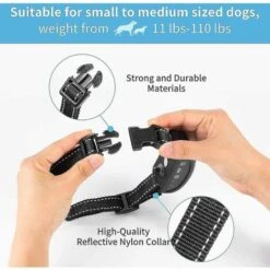 Miofth 3 In 1 Collare Antiabbaio Per Cani Dispositivo Per Abbaiare Eccessivo Addestramento Antiabbaio Sicuro, Innocuo E Umano -Cibi per cani in Italia 98122964 5
