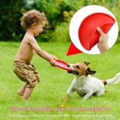 2pcs Disco Per Cani Frisbee Giocattolo Per Cani Piattini Galleggianti Frisbee In Gomma Giocattoli Per Cani Per Cuccioli Cani Di Taglia Piccola E Media 22 Cm (verde + Rosso) -Cibi per cani in Italia 98124548 4