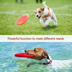 2pcs Disco Per Cani Frisbee Giocattolo Per Cani Piattini Galleggianti Frisbee In Gomma Giocattoli Per Cani Per Cuccioli Cani Di Taglia Piccola E Media 22 Cm (verde + Rosso) -Cibi per cani in Italia 98124548 5