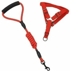 Collari, Imbracature E Guinzagli Per Cani, Set Di Guinzagli Da Arrampicata In Nylon (petto Nero E Schiena L) -Cibi per cani in Italia 98125659 3