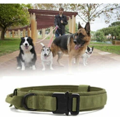 Collare Regolabile In Nylon Per Cuccioli E Cani Di Piccola Taglia - Collare Con Comoda Imbottitura -Cibi per cani in Italia 98125746 3