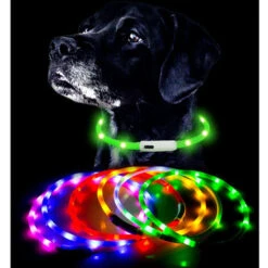 Collare Per Cani Illuminato, Collare Per Cani A LED Ricaricabile Tramite USB, Collare Di Sicurezza Regolabile Lampeggiante Per Cani Di Taglia Piccola E Media, Giallo. -Cibi per cani in Italia 98126589 5