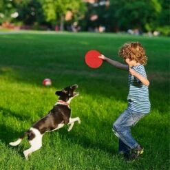 Frisbee Per Cani Set Di 2 Dischi 17cm Giocattolo Per Cani In Gomma Naturale -Cibi per cani in Italia 98129794 4