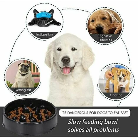 Ciotola Per Alimentazione Lenta Per Cani, Ciotola Per Alimentazione Lenta, Ciotola Anti-ghiottone Per Cani E Gatti, Favorisce Un'alimentazione Sana E Una Digestione Lenta (nero) 7 Ciotola Per Alimentazione Lenta Per Cani, Ciotola Per Alimentazione Lenta, Ciotola Anti-ghiottone Per Cani E Gatti, Favorisce Un'alimentazione Sana E Una Digestione Lenta (nero) - immagine 5