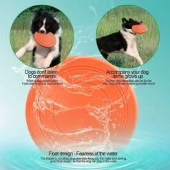 Frisbee Per Cani Da 3 Confezioni, Piattini In Gomma Naturale, Frisbee Giocattolo In Gomma, Frisbee Rotondo In Gomma Non Tossica -Cibi per cani in Italia 98142698 4