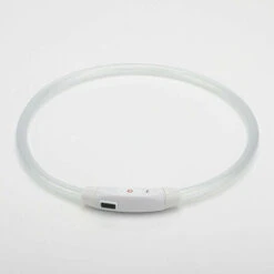 Collare Per Cani Illuminato, Collare Per Cani A LED Ricaricabile Tramite USB, Collare Di Sicurezza Regolabile Lampeggiante Per Cani Di Taglia Piccola E Media, Bianco.