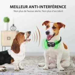 Collare Antiabbaio Collare Per Cani Elettrico Collare Da Addestramento Ricaricabile Adatto Per 5-65 Kg -Cibi per cani in Italia 98145061 3