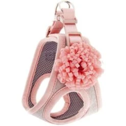 Ferribiella Pettorina Imbottitura In Air Mesh E Cotone Con Fiore Modello Bella Per Cani: S 32-39 Cm