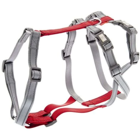 Ferribiella Pettorina Antifuga In Nylon Doppia H Per Cani: S - Nero E Giallo 3 Ferribiella Pettorina Antifuga In Nylon Doppia H Per Cani: S - Nero E Giallo