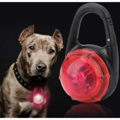 Lampada A Sospensione Per Cani A LED Con Clip Di Avvertimento A LED Lampeggiante Rimorchio Per Cani Di Sicurezza Campeggio Escursionismo Camminata (rosso), Kueatily 10 Lampada A Sospensione Per Cani A LED Con Clip Di Avvertimento A LED Lampeggiante Rimorchio Per Cani Di Sicurezza Campeggio Escursionismo Camminata (rosso), Kueatily -Cibi per cani in Italia 98384337 4