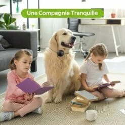 Collare Antiabbaio Per Cani A Pelo Lungo, Ricaricabile Con 3 Modalità Di Suono/vibrazione/shock, Elettrico Automatico Ed Efficace, Collare Antiabbaio Per Cani Leggero E Impermeabile Per Cani Piccoli/g -Cibi per cani in Italia 98433618 5