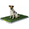 AqpetFriends DogLitter Lettiera Tappetino Con Erba Sintetica -Cibi per cani in Italia 98550908 1