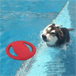 Frisbee Giocattolo Per Cani Galleggiante Per Cani (frisbee Rosso) -Cibi per cani in Italia 98705960 5