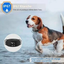 Collare Antiabbaio Per Cani Collare Antiabbaio Ricaricabile, 3 Modalità Scossa Elettrica, Vibrazione E Suono, Display A LED Intuitivo, IP67 Impermeabile, Per Cani Di Taglia Piccola/media/grande -Cibi per cani in Italia 98706180 5