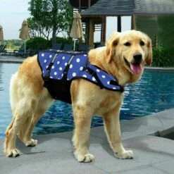 Giubbotto Di Salvataggio Per Cani Giubbotto Di Sicurezza Per Nuoto Giubbotto Di Salvataggio Galleggiante Con Manico Per Cani Di Piccola Taglia Large Dog Blue Dot XXL -Cibi per cani in Italia 98707738 2