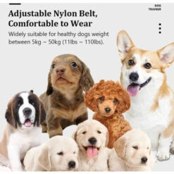 Collare Automatico Antiabbaio Per Cani Deterrente Intelligente Per L'abbaiare Del Cane Con Vibrazione Sonora Scossa Elettrica 4 Modalità Di Addestramento 7 Livelli Regolabili Per Cani Di Taglia Piccol -Cibi per cani in Italia 98709780 3