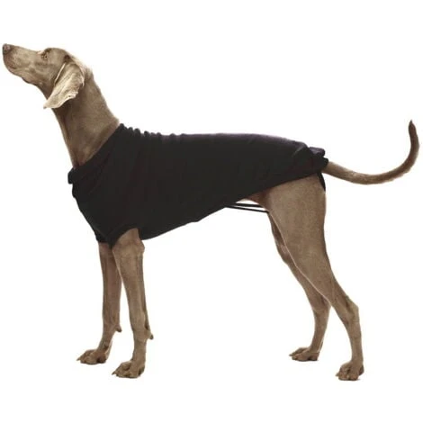 Croci Maglioncino Stoccolma Con Foro Per Guinzaglio Per Cani: Maglioncino 25 Cm 4 Croci Maglioncino Stoccolma Con Foro Per Guinzaglio Per Cani: Maglioncino 25 Cm - immagine 2