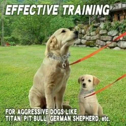 Collare A Strozzo Per Cani Regolabile Staccabile Domestic-XL-3.5MM57CM Collare Da Addestramento Per Artigli Per Cani Collare Da Addestramento Regolabile In Metallo Per Animali Domestici Di Grossa Tagl -Cibi per cani in Italia 98725844 4