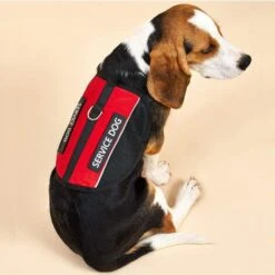 Pettorina Per Cani Da Servizio Leggera Confortevole Riflettente Ideale Per L'addestramento E Il Lavoro Di Cani Di Taglia Piccola, Media E Grande