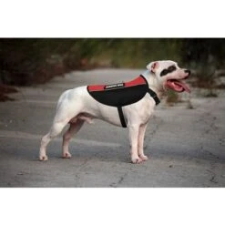 Pettorina Per Cani Da Servizio Leggera Confortevole Riflettente Ideale Per L'addestramento E Il Lavoro Di Cani Di Taglia Piccola, Media E Grande -Cibi per cani in Italia 99324121 4