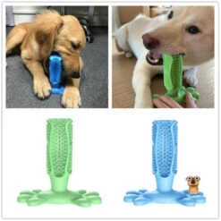 Spazzolino Da Denti Per Cani Massaggiatore Da Masticare Per Cani Pulisce Efficacemente Gomma Per Morso Di Cane Medio, Verde (M: 126mm125mm) -Cibi per cani in Italia 99326438 4
