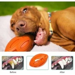 Giocattolo Per Cani Indistruttibile, Giocattolo Da Masticare Per Cani Palla Sonora In Gomma Giochi Per Cani Giocattolo Per Cani Di Taglia Media E Grande -Cibi per cani in Italia 99548660 4