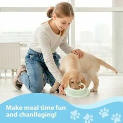 6 Pezzi Accessori Per Depuratore D'acqua Adattatore Femmina 1/4 Tubo OD A 1/2 Femmina Connettore Rapido A Pressione Per Filtro Acqua Ad Osmosi Inversa. A -Cibi per cani in Italia 99776855 4