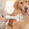 Asciugacapelli Per Cani Portatile 2 In 1 Con Spazzola Velocità Regolabile Temperatura Prodotto Per Toelettatura Animali Domestici A Basso Rumore 2 Asciugacapelli Per Cani Portatile 2 In 1 Con Spazzola Velocità Regolabile Temperatura Prodotto Per Toelettatura Animali Domestici A Basso Rumore -Cibi per cani in Italia 99780077 1