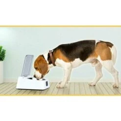 Ciotola Con Sensore A Infrarossi Da 330 Ml, Acciaio Inossidabile, Coperchio Con Apertura/chiusura Automatica, Con Cavo Di Ricarica USB, Riposo Di 3-5 Minuti, Adatto A Cani E Gatti -Cibi per cani in Italia 99851556 4